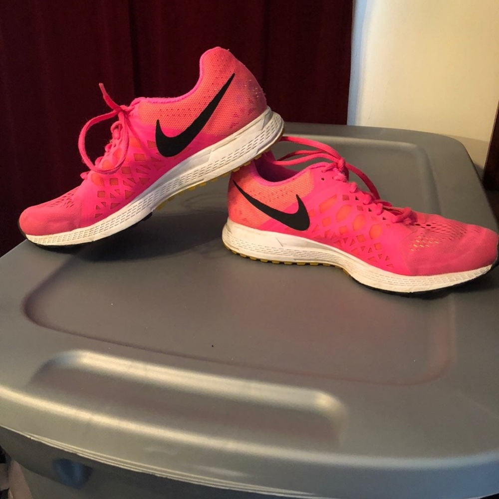 Nike Zoom Pegasus 31